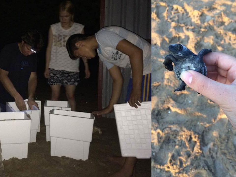 especies-peligro-extinción