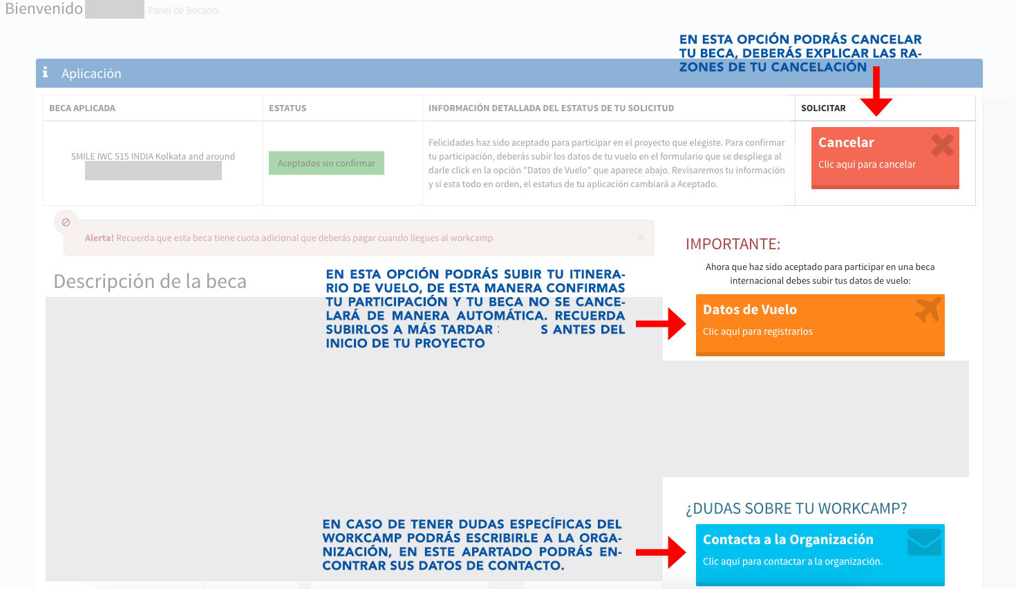 panel-becario-aceptado-sin-confirmar